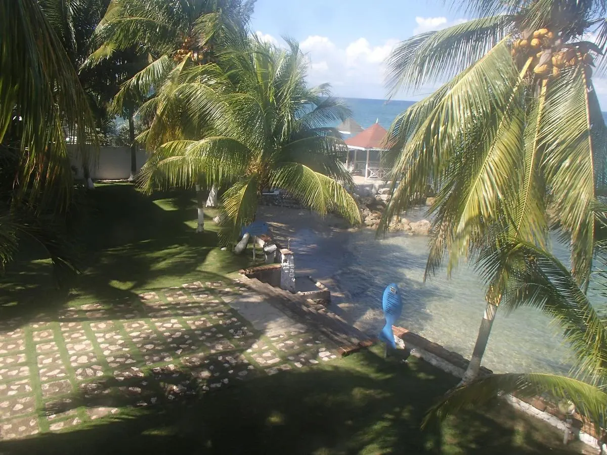 Chrisanns Beach Resort Ocho Rios Lejlighedshotel